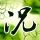 韩导演被围殴时正带自闭症儿子吃饭
